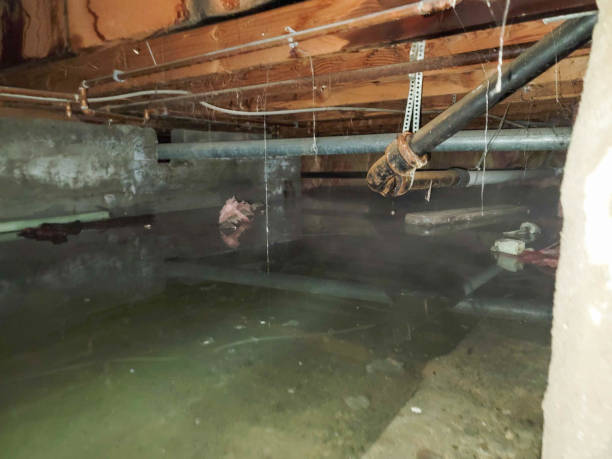 Best Flood damage cleanup  in Acushnet Center, MA