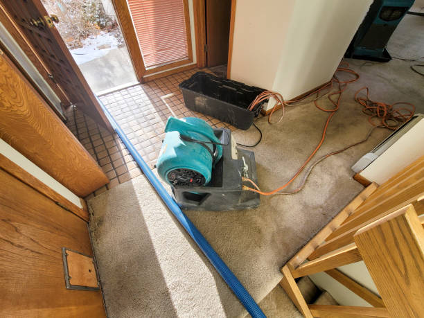 Water damage restoration mold remediation in MA