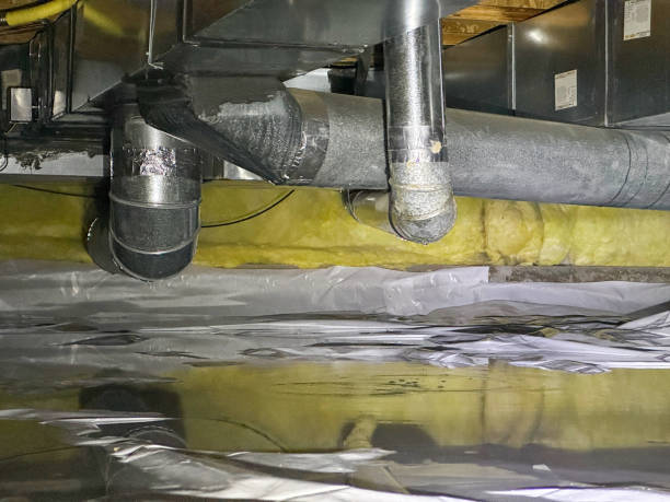 Best Basement water damage restoration  in Acushnet Center, MA