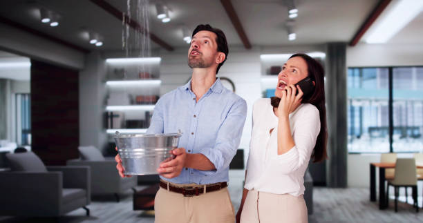 Best Water damage contractors near me  in Acushnet Center, MA